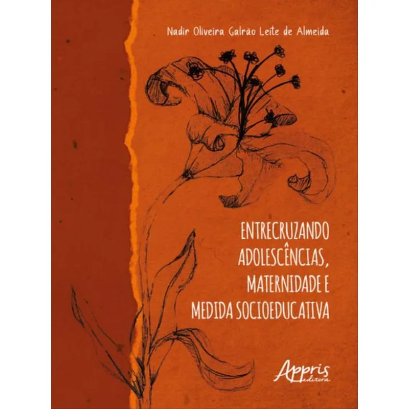 ENTRECRUZANDO ADOLESCÊNCIAS, MATERNIDADE E MEDIDA SOCIOEDUCATIVA