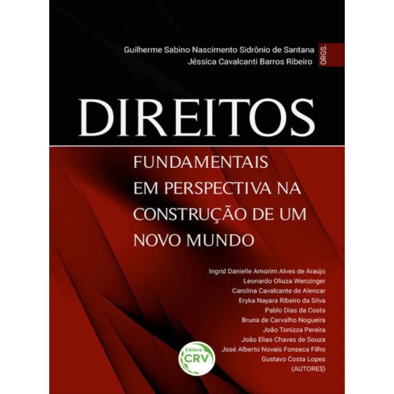 DIREITOS FUNDAMENTAIS EM PERSPECTIVA NA CONSTRUÇÃO DE UM NOVO MUNDO