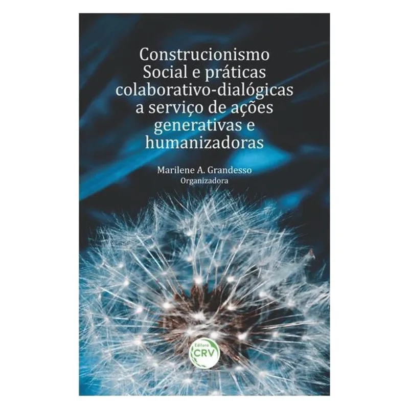 CONSTRUCIONISMO SOCIAL E PRÁTICAS COLABORATIVO-DIALÓGICAS A SERVIÇO DE AÇÕES GENERATIVAS E HUMANIZAD