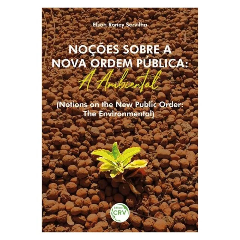 NOÇÕES SOBRE A NOVA ORDEM PÚBLICA