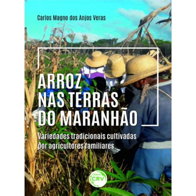 ARROZ NAS TERRAS DO MARANHÃO