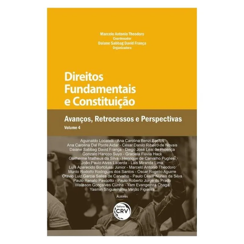 DIREITOS FUNDAMENTAIS E CONSTITUIÇÃO