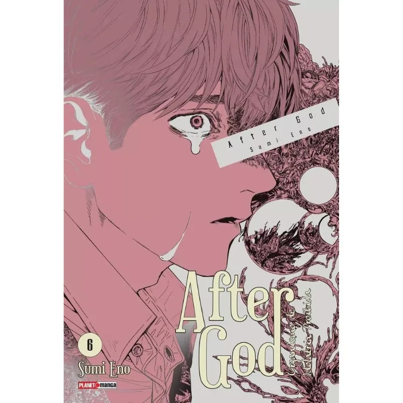 After God 6 - panini books - Livros