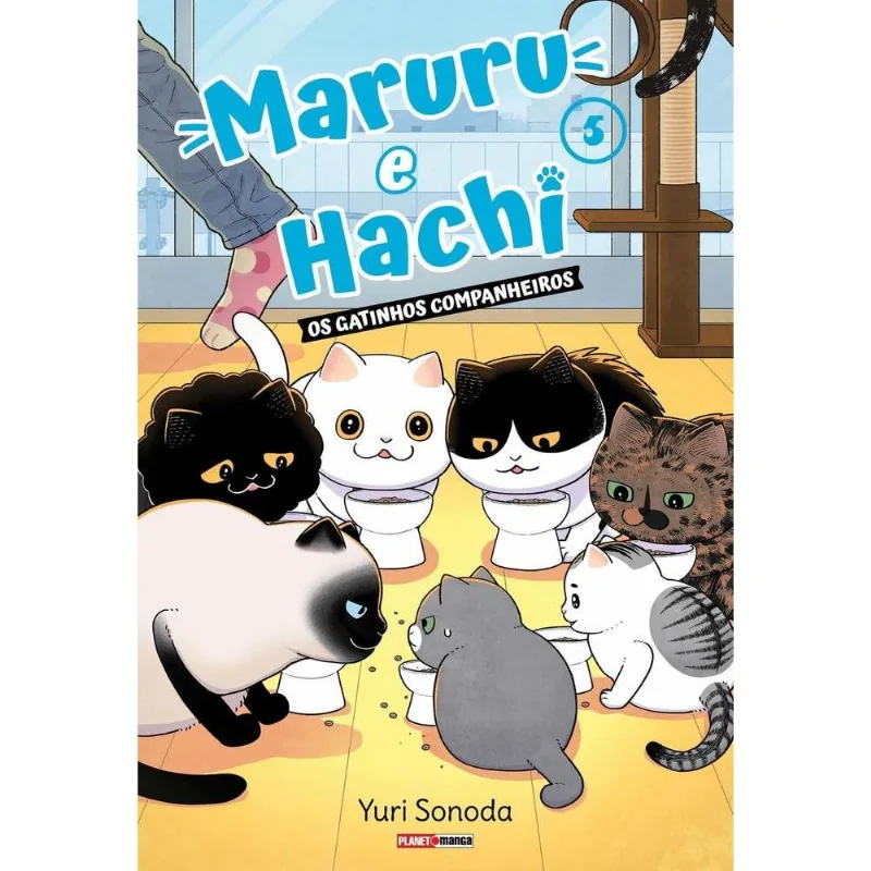 Maruru E Hachi: Os Gatinhos Companheiros 5