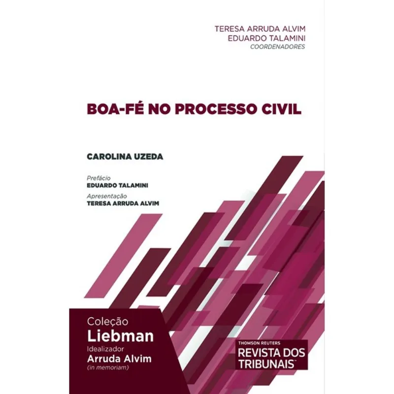 BOA-FÉ NO PROCESSO CIVIL - 2024