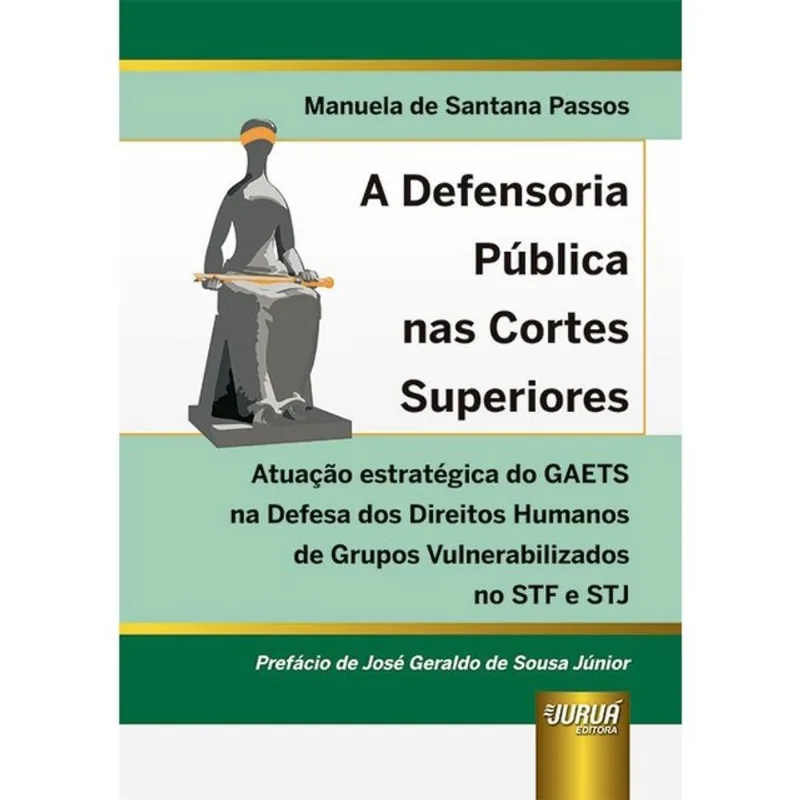 DEFENSORIA PÚBLICA NAS CORTES SUPERIORES - 2024