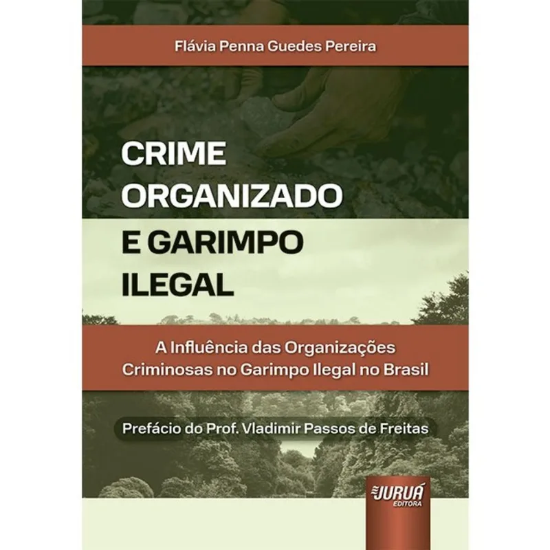 CRIME ORGANIZADO E GARIMPO ILEGAL - 2024
