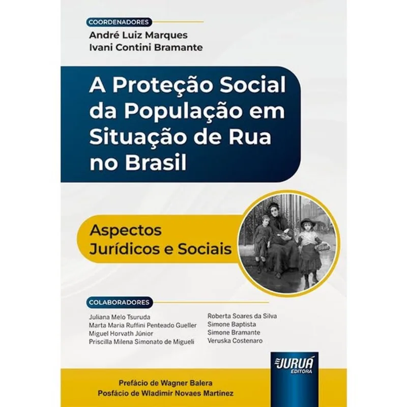 A PROTEÇÃO SOCIAL DA POPULAÇÃO EM SITUAÇÃO DE RUA NO BRASIL - 2024