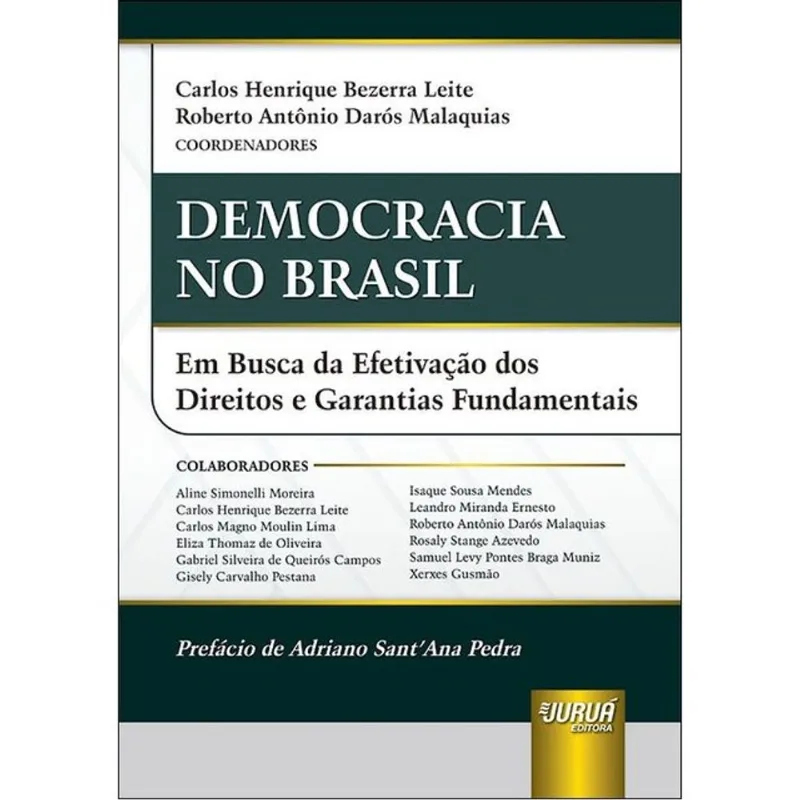 DEMOCRACIA NO BRASIL - EM BUSCA DA EFETIVAÇÃO DOS DIREITOS E GARANTIAS FUNDAMENTAIS - 2024