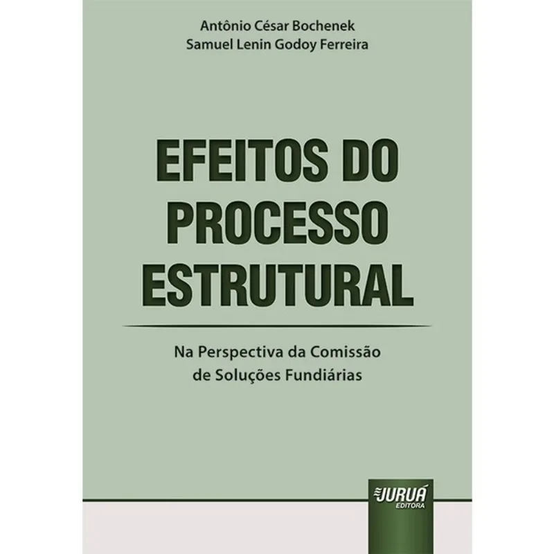 EFEITOS DO PROCESSO ESTRUTURAL - 2025