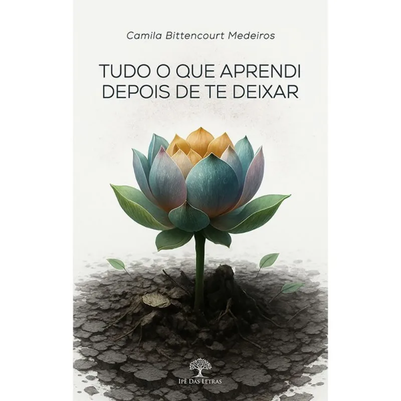 TUDO O QUE APRENDI DEPOIS DE TE DEIXAR