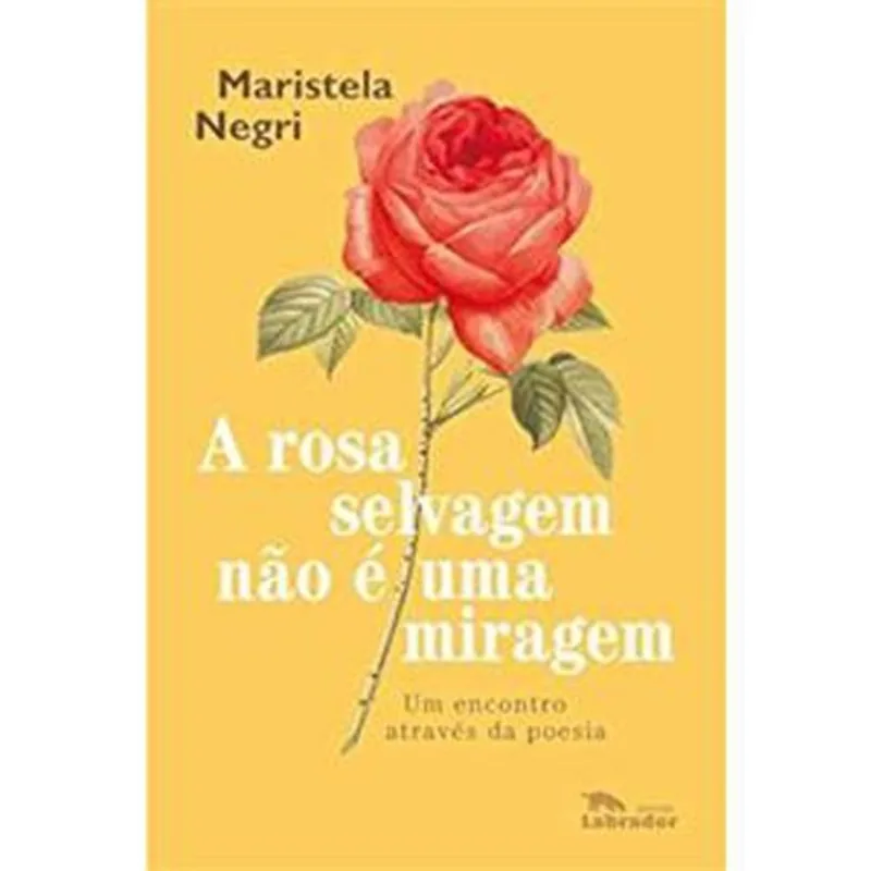 Livro A Rosa Selvagem Não É Uma Miragem Labrador (MP)