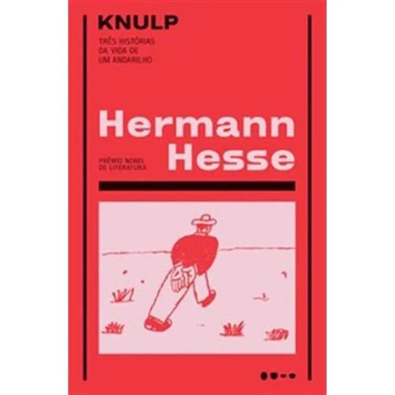 Livro Knulp Todavia (MP)