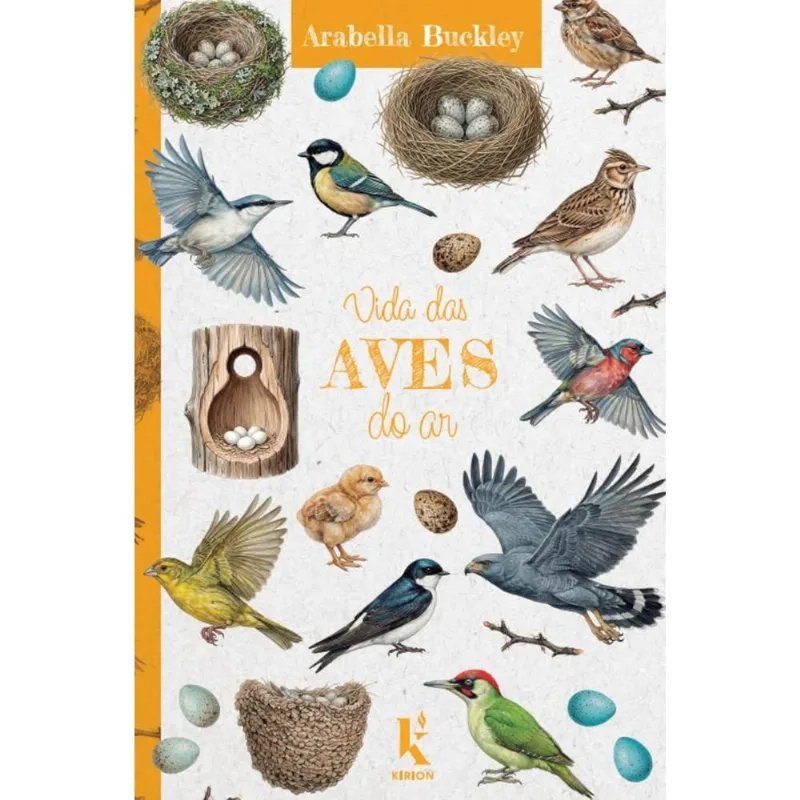 Vida Das Aves Do Ar