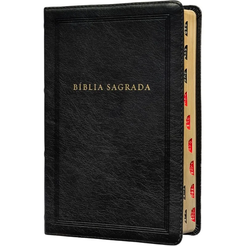 Bíblia Sagrada King James Clássica, Letra Grande, Capa Luxo Preta, Arabescos