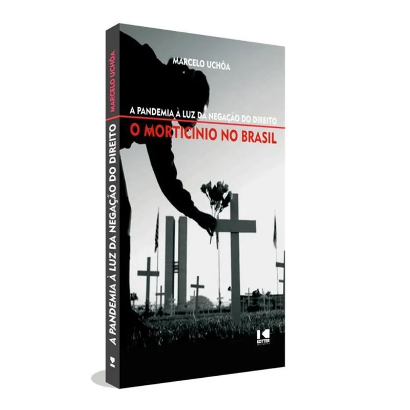 A PANDEMIA À LUZ DA NEGAÇÃO DO DIREITO