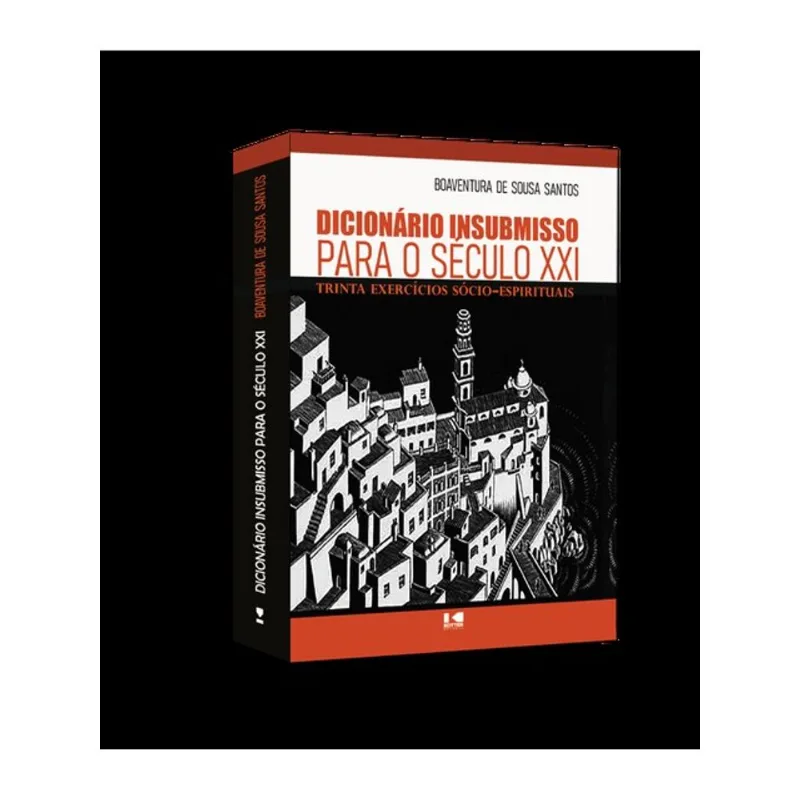 DICIONÁRIO INSUBMISSO PARA O SÉCULO XXI