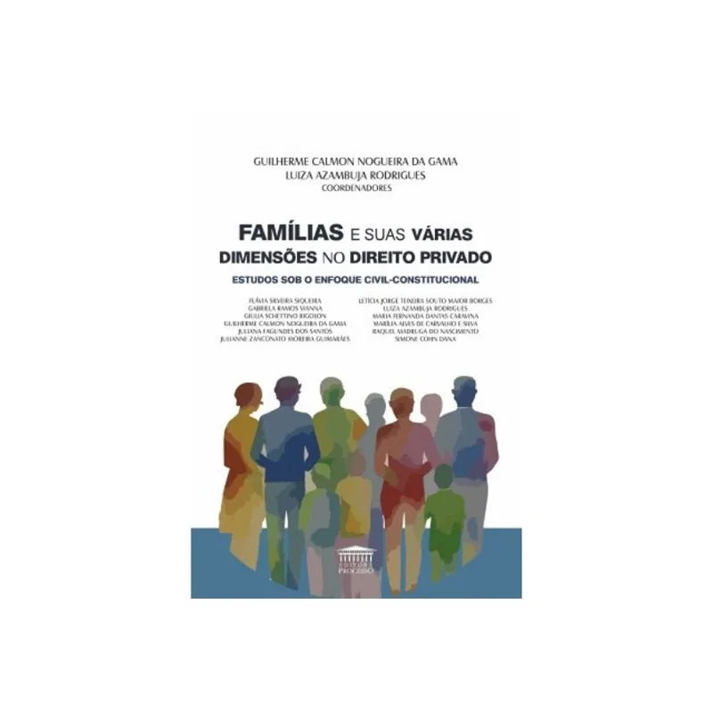 FAMÍLIAS E SUAS VÁRIAS DIMENSÕES NO DIREITO PRIVADO - ESTUDOS SOB O ENFOQUE CIVIL-CONSTITUCIONAL