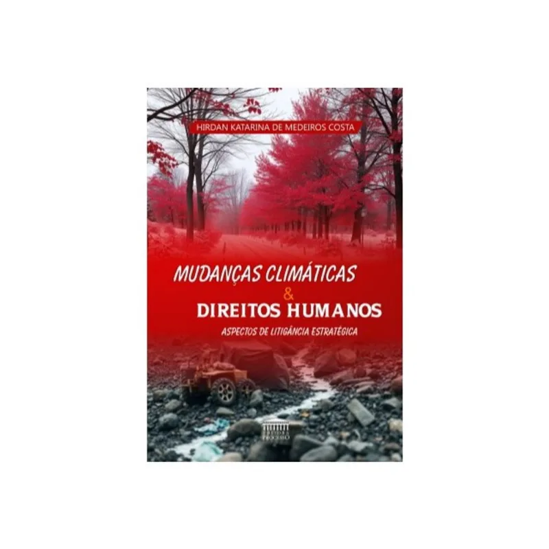 MUDANÇAS CLIMÁTICA E DIREITOS HUMANOS - ASPECTOS DE LITIGÂNCIA ESTRATÉGICA
