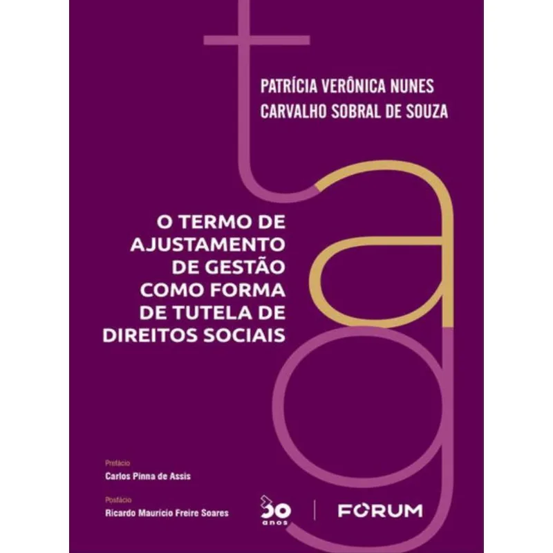 O TERMO DE AJUSTAMENTO DE GESTÃO COMO FORMA DE TUTELA DE DIREITOS SOCIAIS