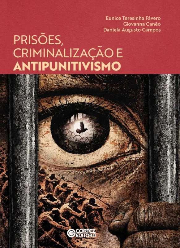 Prisões, Criminalização E Antipunitivismo - LC - Livros