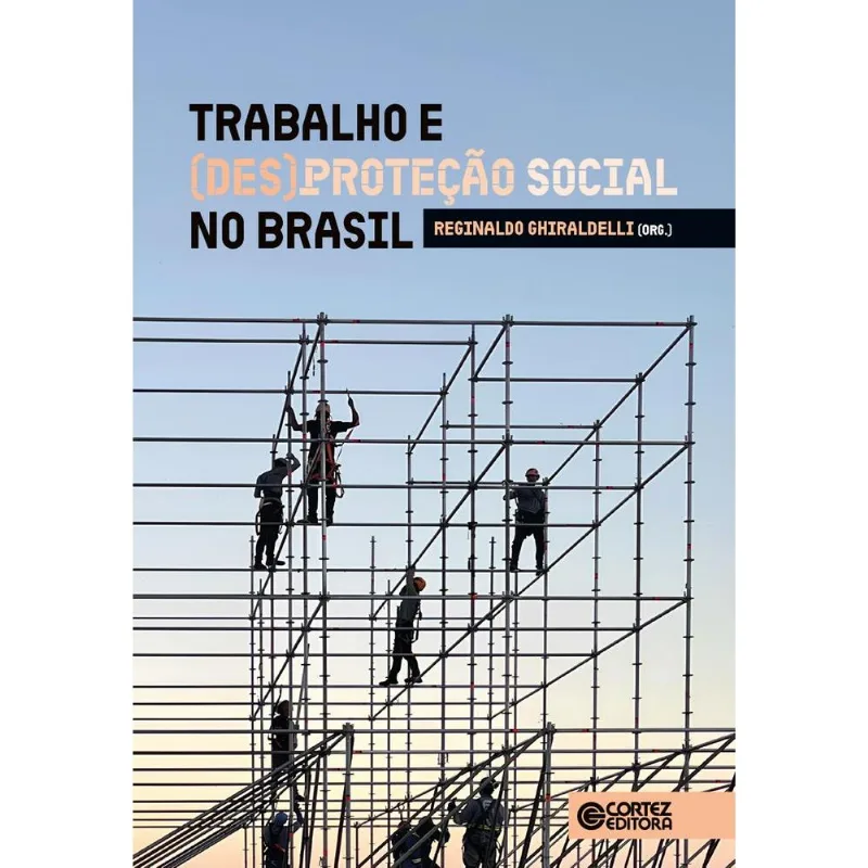 Trabalho E - Desproteção Social No Brasil