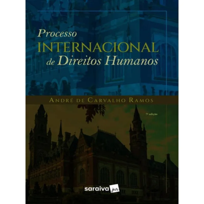 PROCESSO INTERNACIONAL DE DIREITOS HUMANOS - 7ª EDIÇÃO 2022