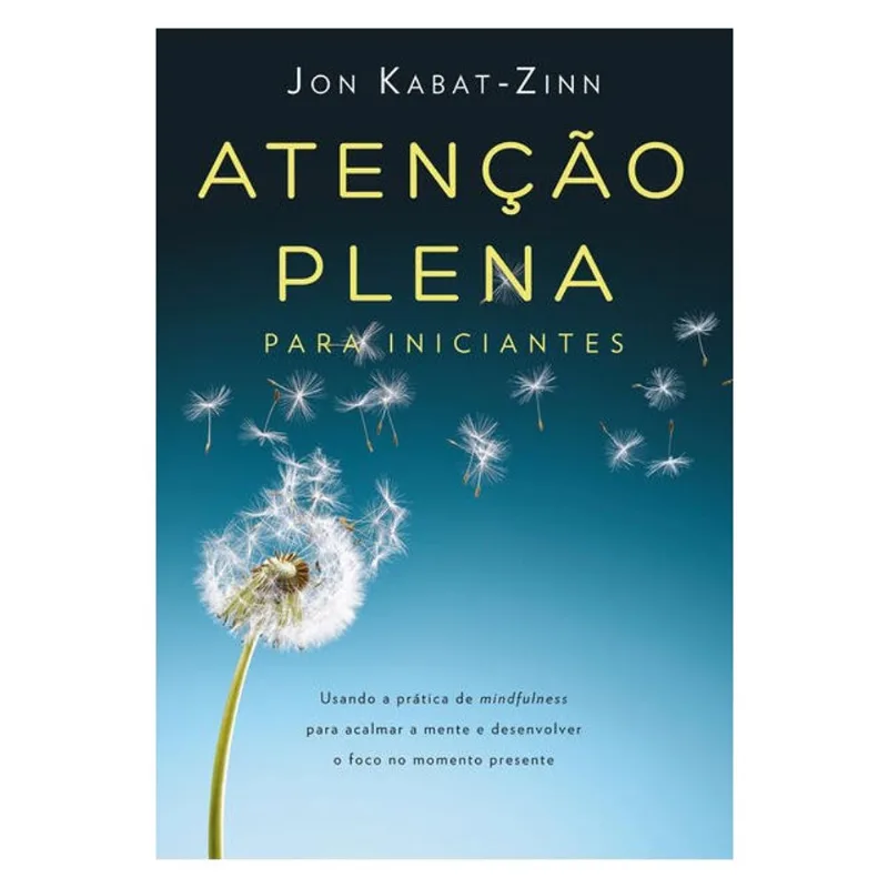 ATENÇÃO PLENA PARA INICIANTES