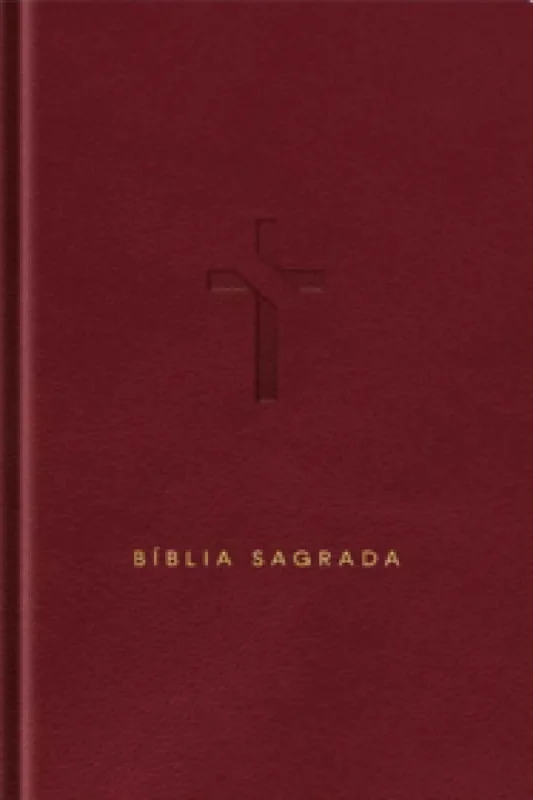 Bíblia Slim - Com Mapas Mentais - NVT - Vinho - Editora Vida
