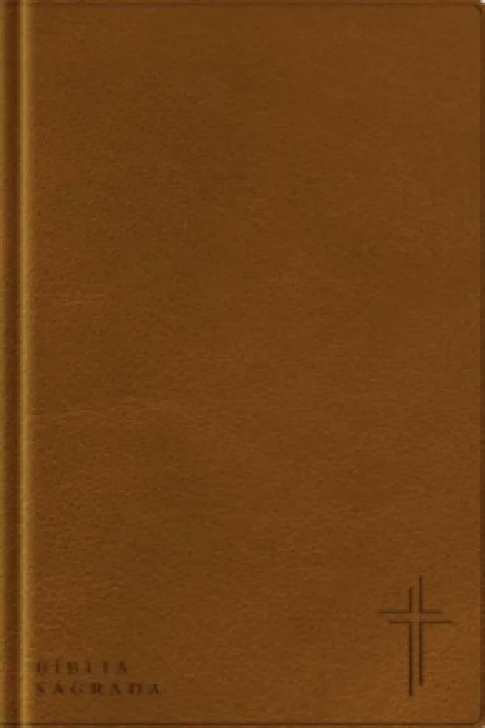 Bíblia Com Mapas Mentais- NVT - Letra Grande - Marrom - Editora Vida - Livros
