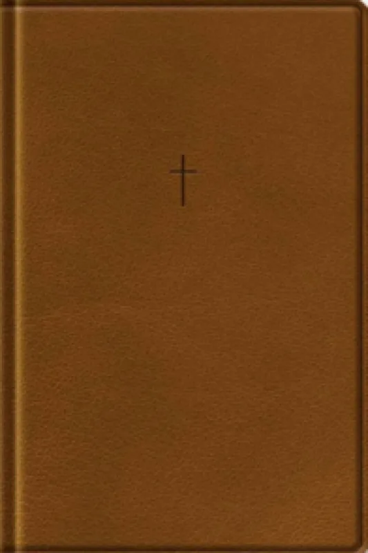 Bíblia NAA - Letra Grande - Marrom - Editora Vida