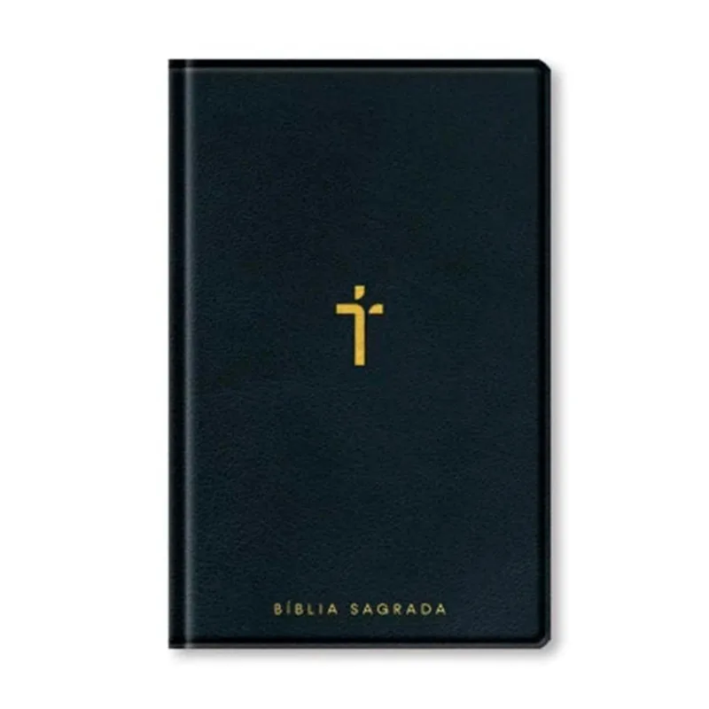Bíblia Sagrada Naa - Letra Gigante - Preto - Com Índice