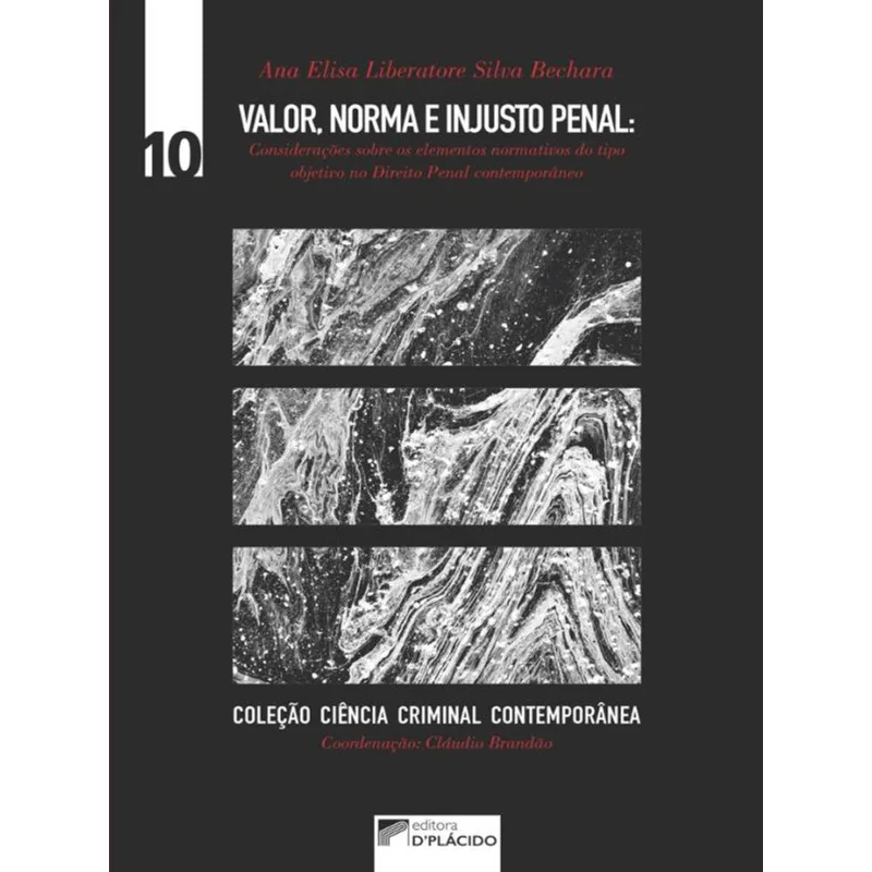 VALOR, NORMA E INJUSTO PENAL: CONSIDERAÇÕES SOBRE OS ELEMENTOS NORMATIVOS DO TIPO OBJETIVO NO DIREIT