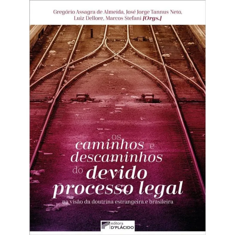 OS CAMINHOS E DESCAMINHOS DO DEVIDO PROCESSO LEGAL