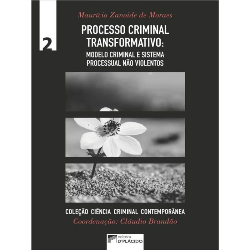 PROCESSO CRIMINAL TRANSFORMATIVO: MODELO CRIMINAL E SISTEMA PROCESSUAL NÃO VIOLENTOS