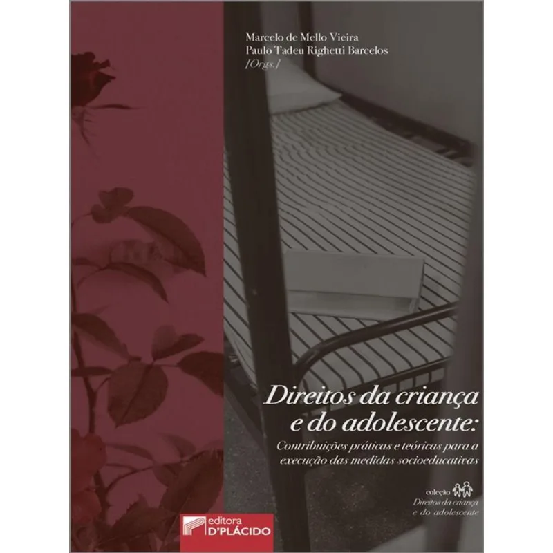 DIREITOS DA CRIANÇA E DO ADOLESCENTE:CONTRIBUIÇÕES PRÁTICAS E TEÓRICAS PARA A EXECUÇÃO DAS MEDIDAS S