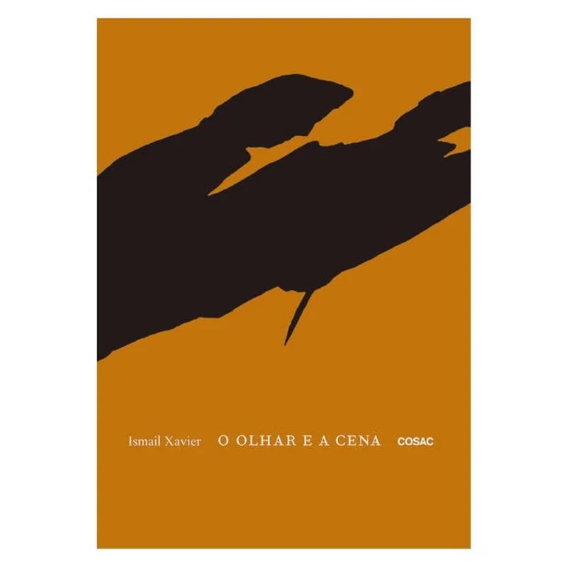 O OLHAR E A CENA