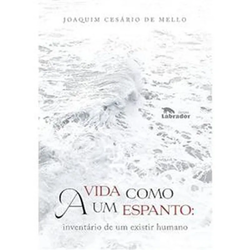 Livro A Vida Como Um Espanto Labrador (MP)