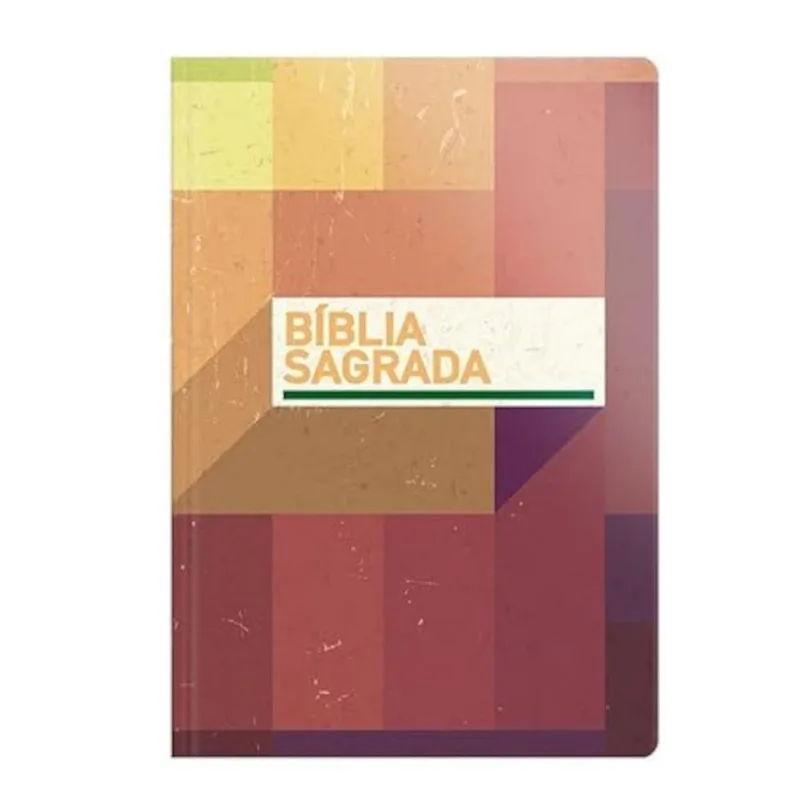 Livro Bíblia Nova Versão Traduzida Letra Grande Editora Geografica (MP) Livro Bíblia - Nvt - Letra Grande - Neutra (MP)