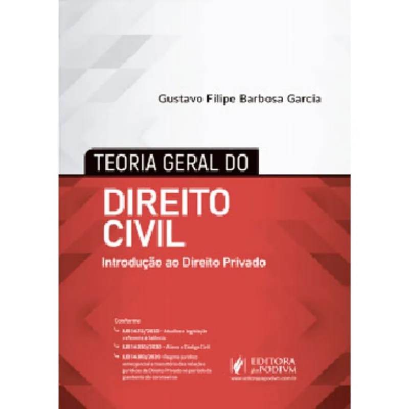TEORIA GERAL DO DIREITO CIVIL - 2021