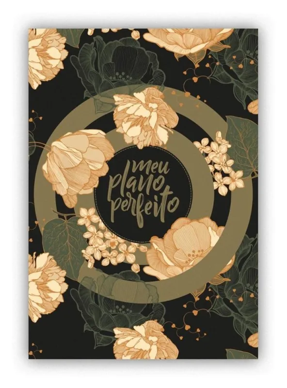 Meu Plano Perfeito - Capa Verde - LC