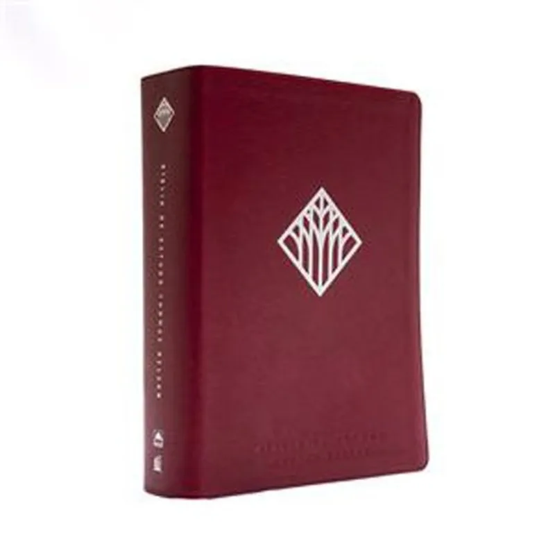 Livro Bíblia De Estudo Thomas (MP)