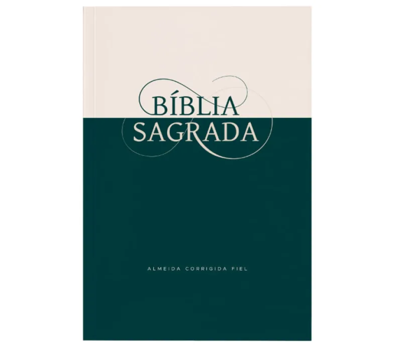 Bíblia Sagrada ACF, Brochura, Miolo Econômico, Clássica - Thomas Nelson Brasil - Livros