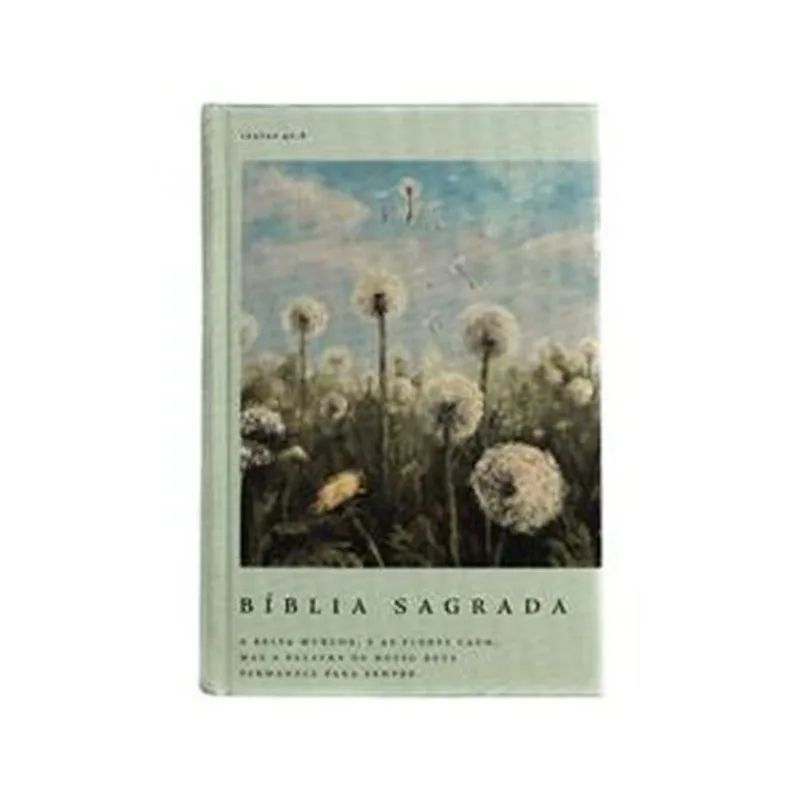 Livro Bíblia Nvi Com Espaço Para Anotações, Letra Grande, Tecido, Dente- De-leão Thomas Nelson Brasil (MP)