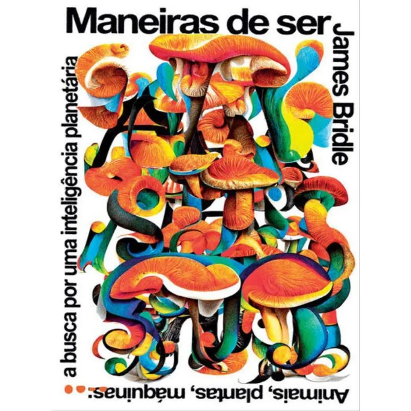 MANEIRAS DE SER