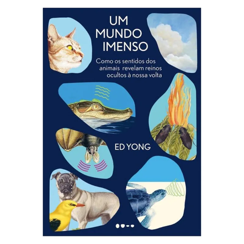 UM MUNDO IMENSO