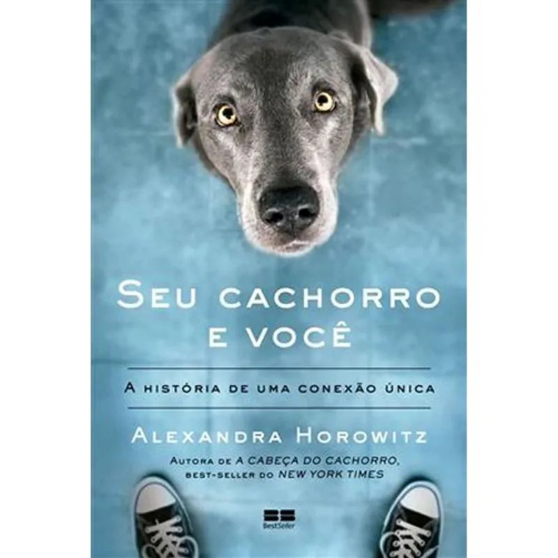 Livro Seu Cachorro E Você Best Seller (MP)
