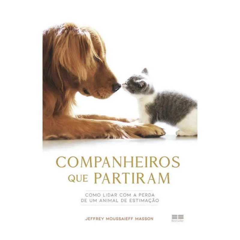 COMPANHEIROS QUE PARTIRAM