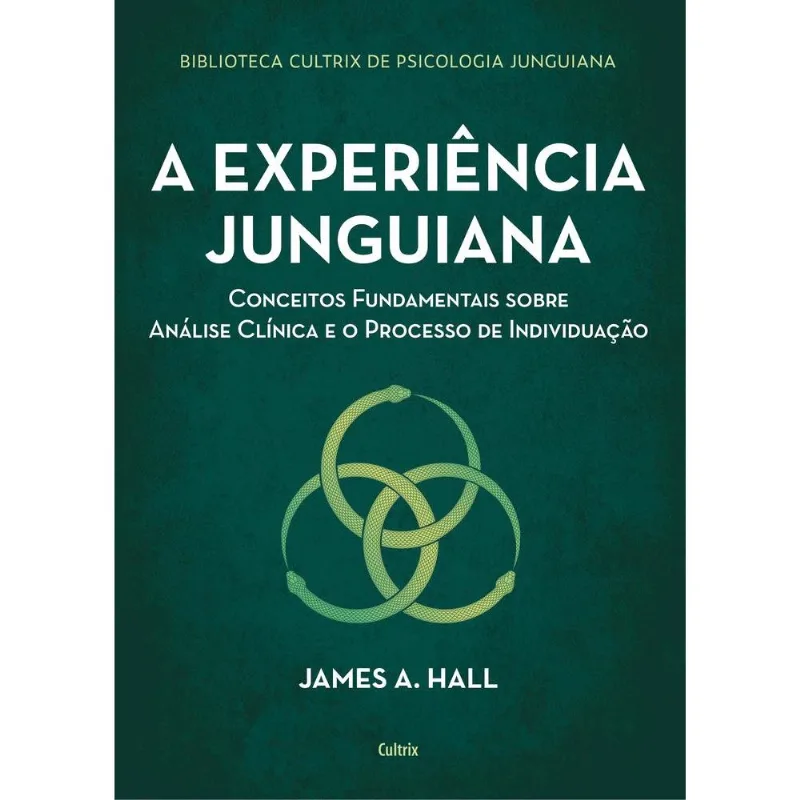A Experiência Junguiana