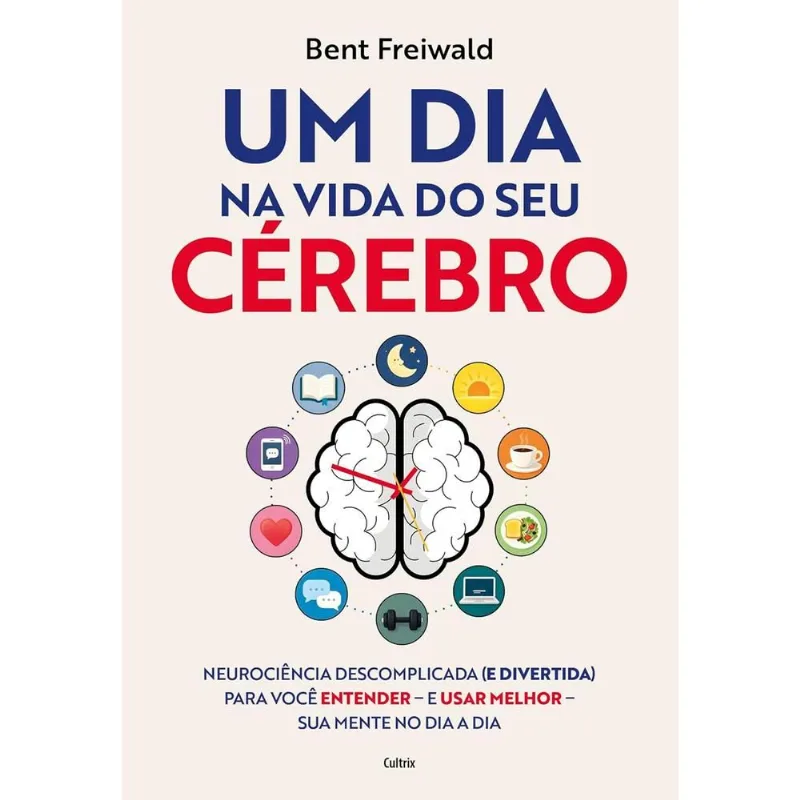 Um Dia Na Vida Do Seu Cérebro